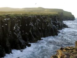 Grimsey, Pulau Unik di Islandia, Menjaga Keharmonisan Alam dan Komunitas