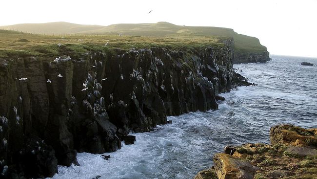 Pulau Grimsey di Islandia, yang hanya dihuni 20 orang.