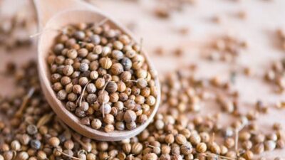 Biji Ketumbar, Solusi Alami untuk Menurunkan Kolesterol dan Gula Darah