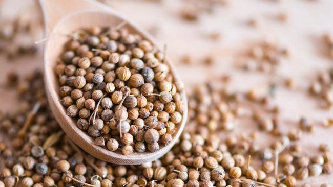 Ilustrasi. Tak banyak yang tahu bahwa manfaat biji ketumbar bukan hanya menyedapkan masakan, tapi juga menyehatkan.