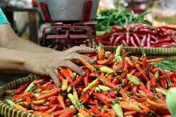 Harga Cabai Rawit Merah Terus Meningkat, Bapanas, Jangan Sampai Inflasi Terkendala