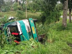 Truk Terbalik di Pendakian Makam Pahlawan Pasaman, Satu Penumpang Terluka
