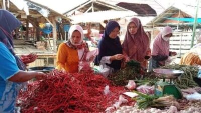 Harga Cabai
