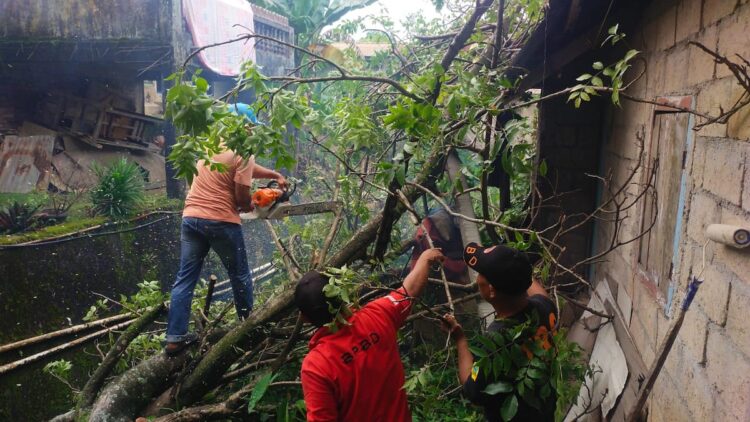Evakuasi Pohon Tumbang