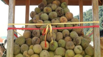 Durian