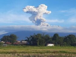 Waspada Gunung Marapi, Pendaki Liar dalam Investigasi BKSDA