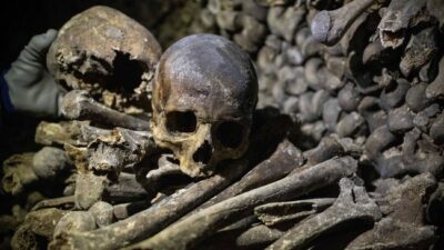 Penemuan Tengkorak Menggegerkan Desa Pohgading Lombok Timur