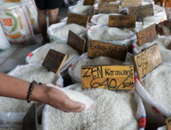 Pemerintah Siapkan Solusi Pompanisasi untuk mengatasi Krisis Pangan