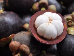 Manggis, Manfaat dan Pantangan yang Harus Diketahui