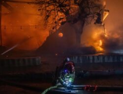 Gubernur California Apresiasi Bantuan Pemadam Kebakaran Meksiko