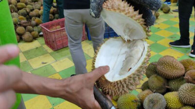 Durian