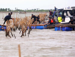 Pagar Laut Bekasi dan Kamal Muara Disegel KKP, Tidak Memiliki Izin