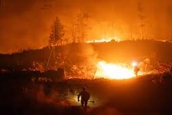 Kebakaran Hutan di Los Angeles Tewaskan 10 Orang, 175.000 Dievakuasi