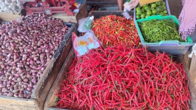 Harga Cabai