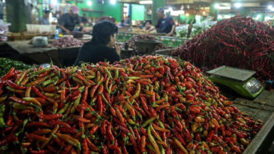 Cuaca Ekstrem dan Banjir Sebabkan Harga Cabai Meroket