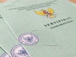 Panduan Mengurus Sertifikat Pengganti Setelah Kehilangan