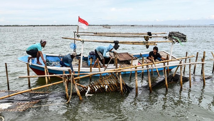 Pembongkaran Pagar Laut