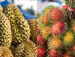 Durian dan Rambutan, Kombinasi Manis yang Bisa Membahayakan Kesehatan