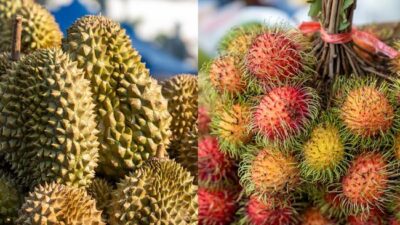Durian dan Rambutan, Kombinasi Manis yang Bisa Membahayakan Kesehatan