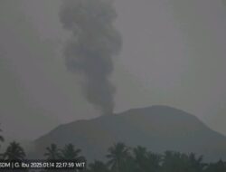 Kolom Abu Gunung Ibu Tembus 1.200 Meter, Status Siaga Ditetapkan