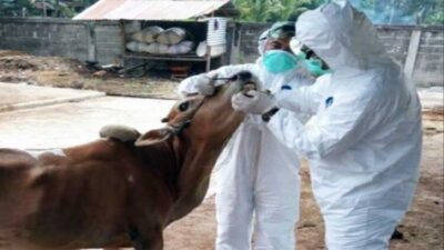 Dinas Pertanian Padang