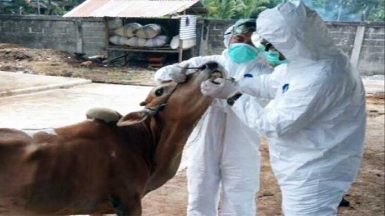 Dinas Pertanian Padang