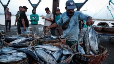 Beberapa jenis ikan bisa jadi alternatif sumber kalsium.