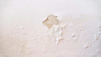 Tembok Lembap? Ini 4 Cara Efektif Mengatasinya