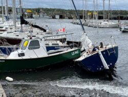 Gempa Dahsyat di Karibia, AS Keluarkan Peringatan Tsunami