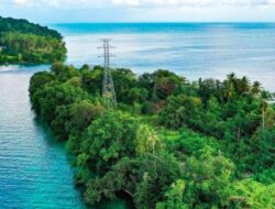 PLN Raih Penghargaan ESG Terbaik di ASEAN, Komitmen pada Energi Hijau