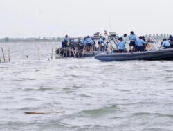 TNI AL Bongkar 30 Km Pagar Laut di Kabupaten Tangerang