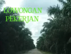 Dibuka Lowongan Operator, Mekanik, dan Juru Masak di CV. Alam Lestari, Cek Syaratnya!