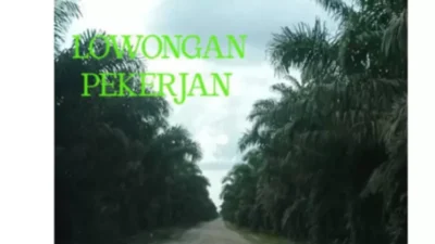 Dibuka! Lowongan Kerja CV. Alam Lestari untuk Operator, Mekanik, dan Juru Masak