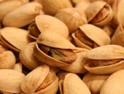 Ingin Langsing? Konsumsi Kacang-Kacangan Ini