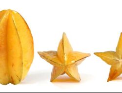 Belimbing, Buah Rendah Kalori yang Cocok untuk Diet Sehat