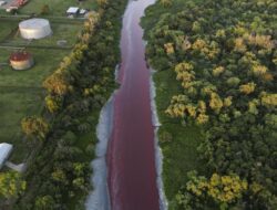 Warga Panik! Kanal di Buenos Aires Berubah Warna Menjadi Merah