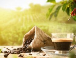 Budaya Kopi di Asia, Bagaimana Lima Negara Ini Menawarkan Pengalaman Tak Terlupakan?