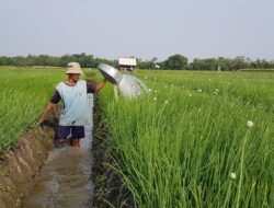 Bukan Lagi Pekerjaan Melelahkan, Bertani Kini Lebih Mudah Berkat Teknologi