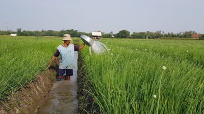 Bukan Lagi Pekerjaan Melelahkan, Bertani Kini Lebih Mudah Berkat Teknologi