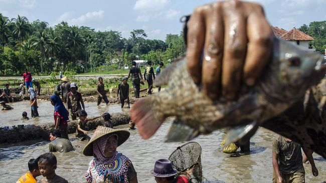 Ada banyak tradisi jelang puasa Ramadan yang dilakukan masyarakat tiap daerah.