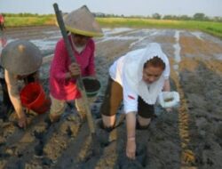 Semarang, Kota Percontohan Ketahanan Iklim di Indonesia