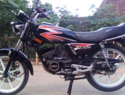 Perbedaan RX-King Cobra dan RX-King Master, Performa, Desain, dan Kenyamanan