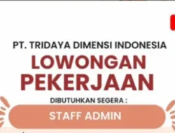 Lowongan Kerja Staff Admin di Kota Padang, Cek Persyaratannya!