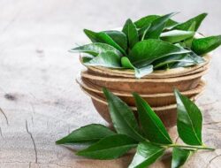 Terbukti! Rebusan Daun Salam Dapat Bantu Turunkan Tekanan Darah