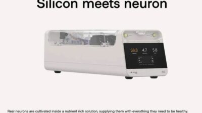 Komputer biologis CL1.