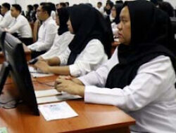 Proses Pengangkatan CPNS dan PPPK Berjalan Sesuai Arahan Presiden