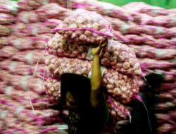 Jelang Idul Fitri, Bawang Putih Dijual Rp32.000-Rp40.000 per Kg