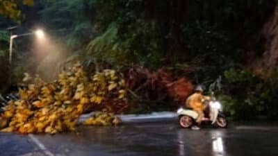 BPBD Padang Tangani Longsor dan Pohon Tumbang di Jalur Padang-Solok