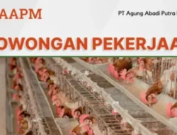 PT Agung Abadi Putra Mandiri Cari Admin Kandang, Daftar Sekarang!