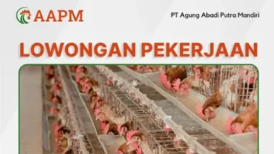 PT Agung Abadi Putra Mandiri Cari Admin Kandang, Daftar Sekarang!